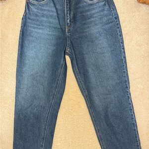 H&M Indigo Blue Denim Pants